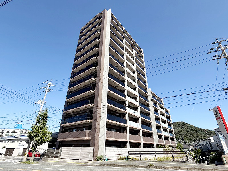 (外観) (外観)